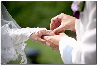 定格永恒瞬間 terry.l photography 專業攝影服務全解析