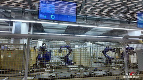 青春華章 走進天津天開園，感受新質潮涌中的攝影擴印服務